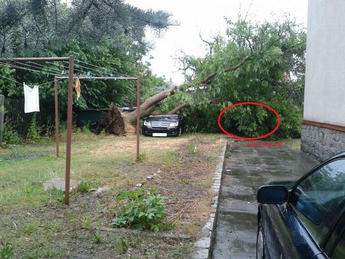 foto k příspěvku  od cupra.165