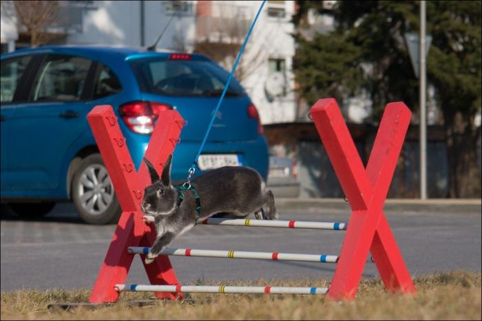 foto k příspěvku  od Paczqo