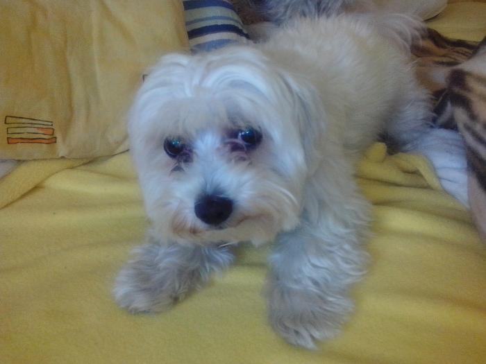 foto k příspěvku  od Luboš1