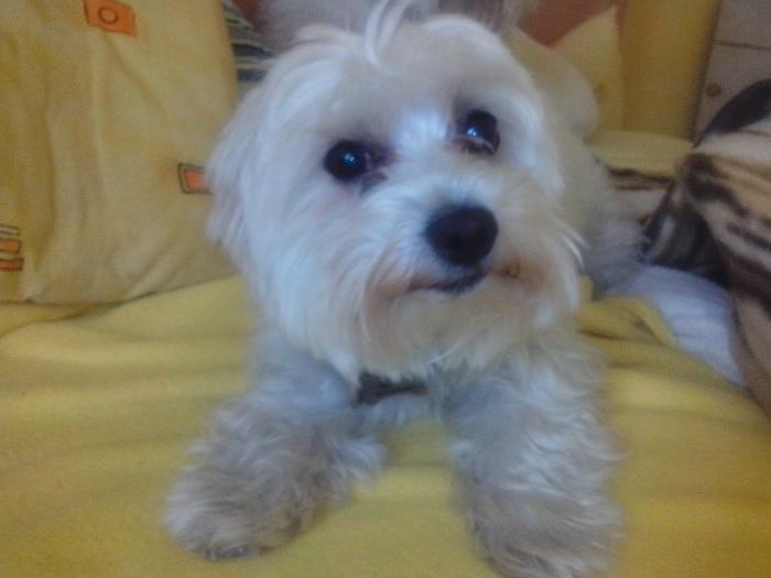 foto k příspěvku  od Luboš1