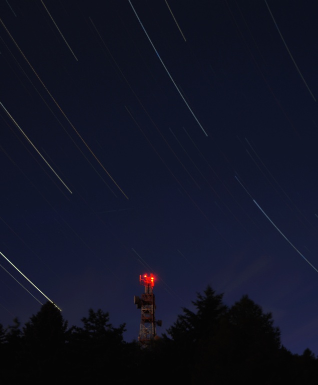 foto k příspěvku  od Toy