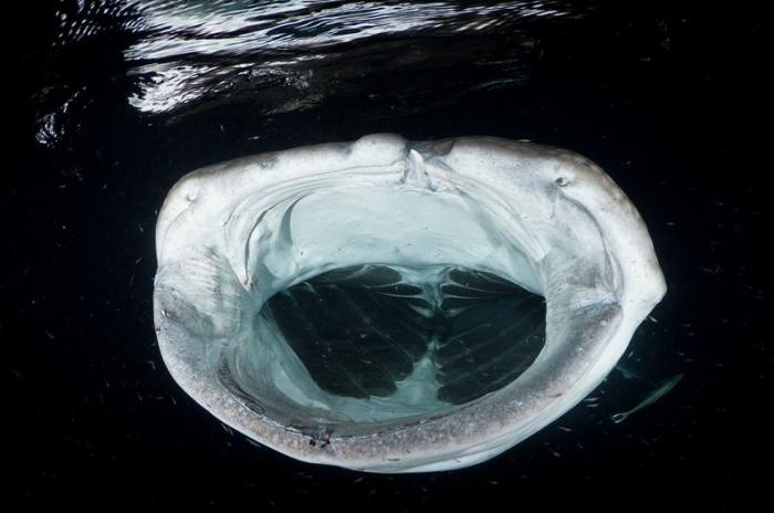 foto k příspěvku  od Martyn