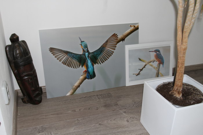 foto k příspěvku  od Crimson