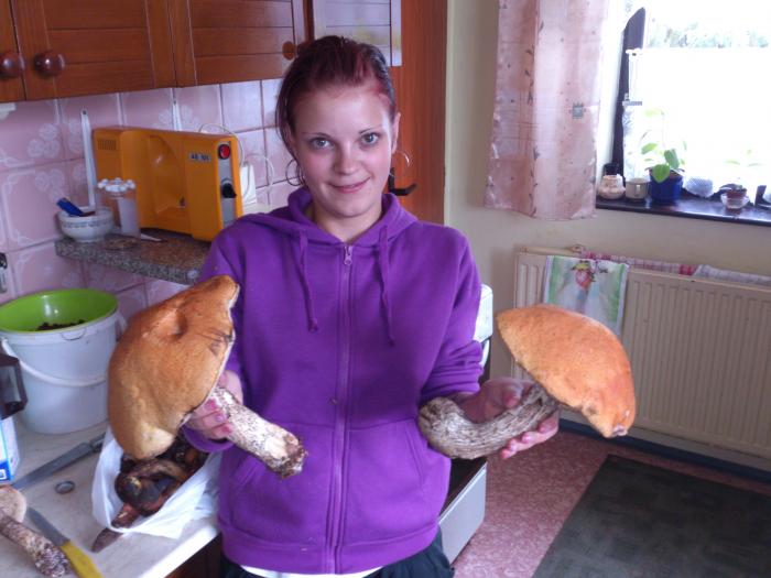 foto k příspěvku  od kuchta