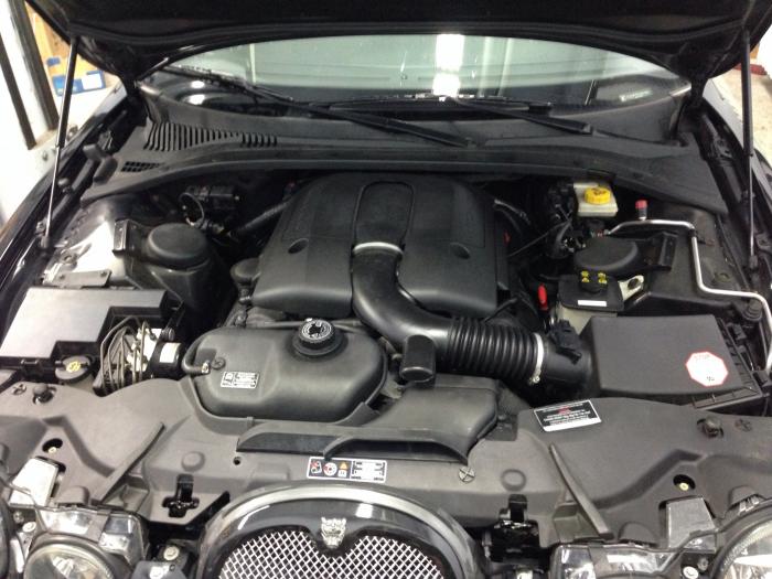 foto k příspěvku  od xenonman