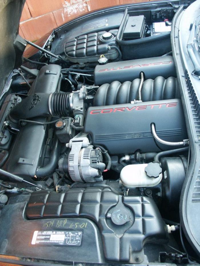 foto k příspěvku  od Escudo