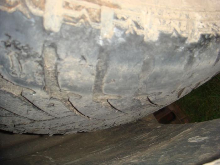 foto k příspěvku  od Tea