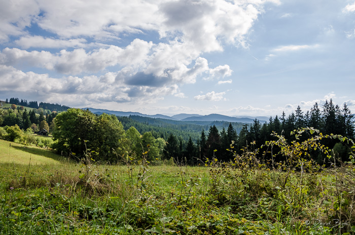 foto k příspěvku  od Dave0401