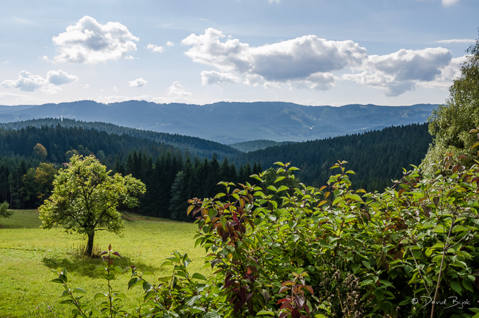 foto k příspěvku  od Dave0401