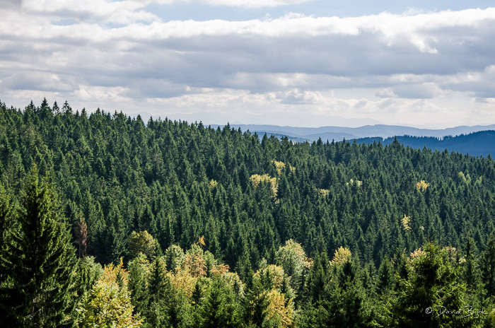 foto k příspěvku  od Dave0401