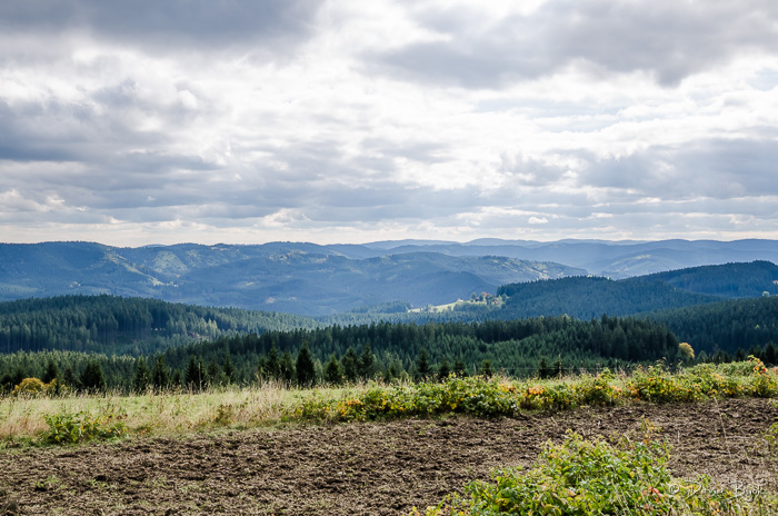 foto k příspěvku  od Dave0401