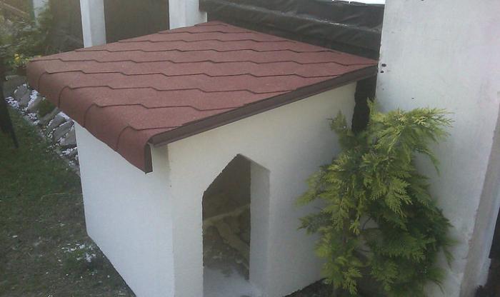 foto k příspěvku  od rebel