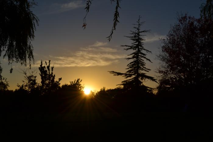 foto k příspěvku  od Tweety_xx