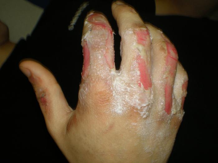 foto k příspěvku  od Collin