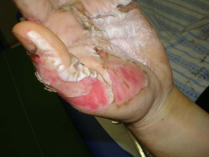 foto k příspěvku  od Collin