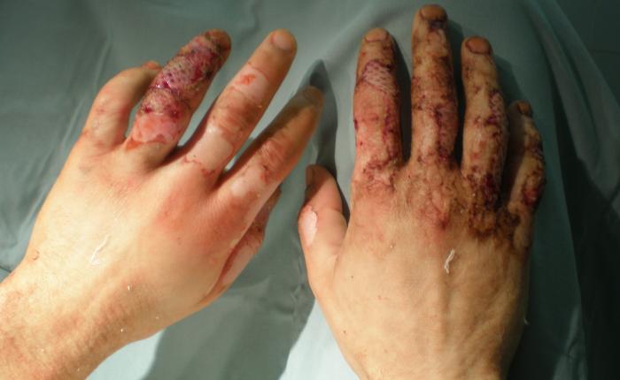 foto k příspěvku  od Collin