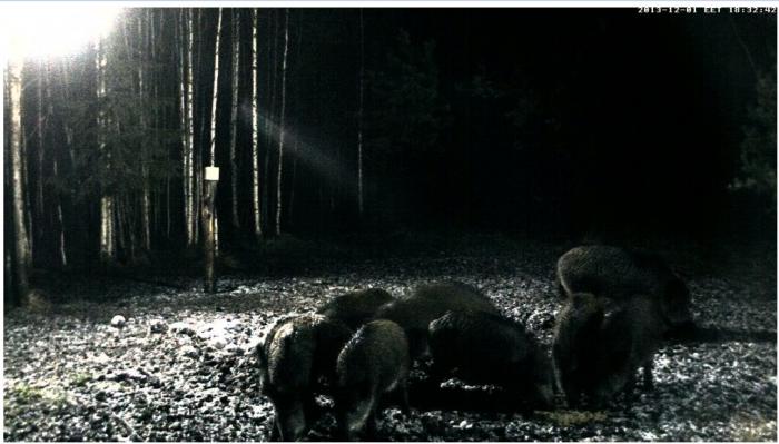 foto k příspěvku  od Tomcat.530i