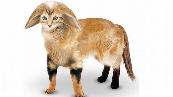 foto k příspěvku  od walish