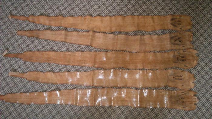 foto k příspěvku  od Kesam