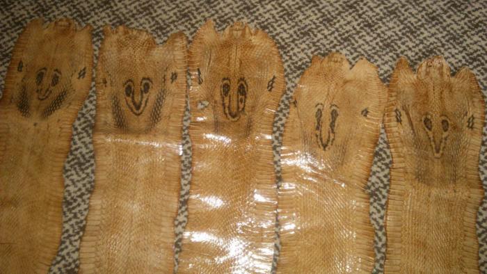 foto k příspěvku  od Kesam