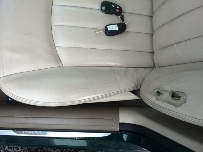 foto k příspěvku  od Proffesor_W