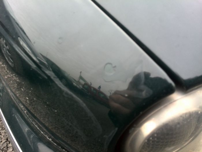 foto k příspěvku  od Proffesor_W