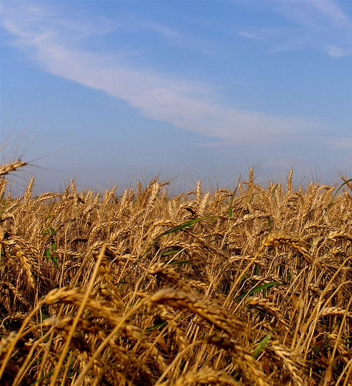 foto k příspěvku  od CRK