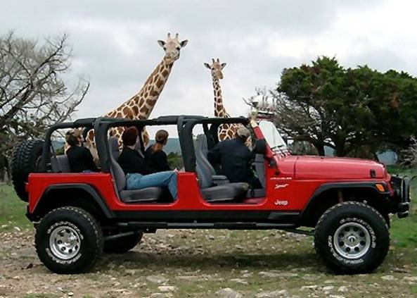 foto k příspěvku  od MazliG