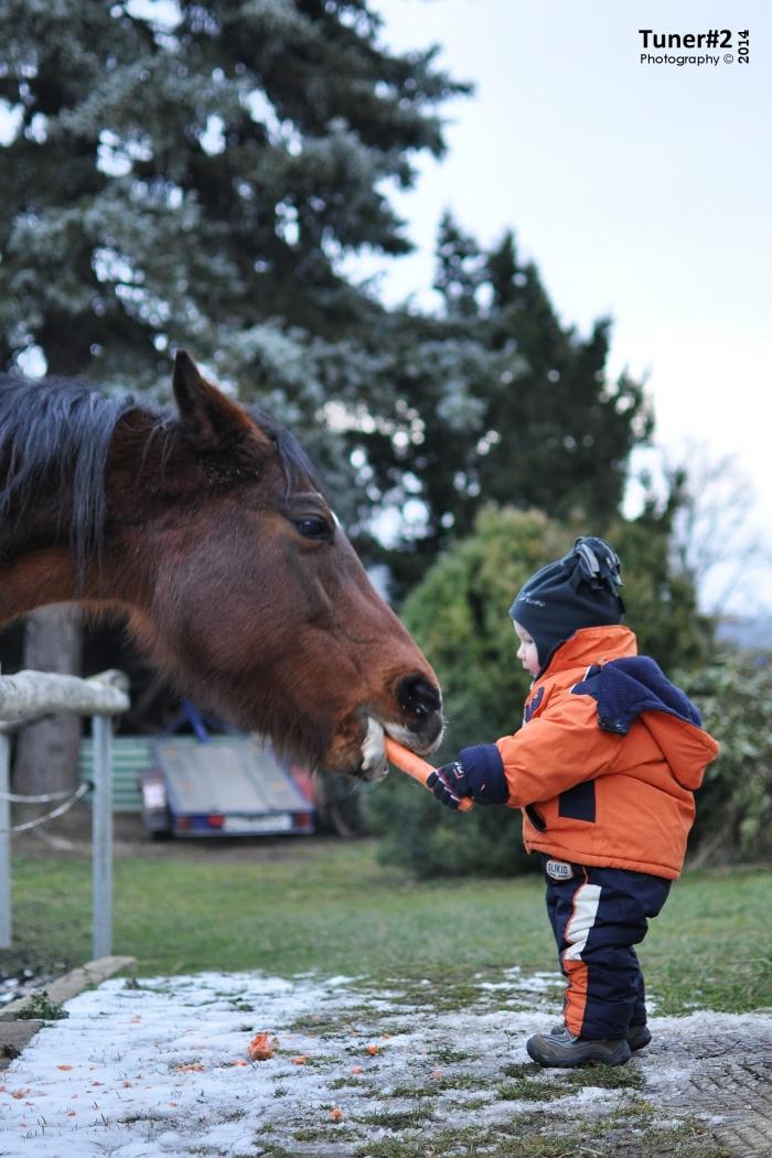 foto k příspěvku  od Tuner#2