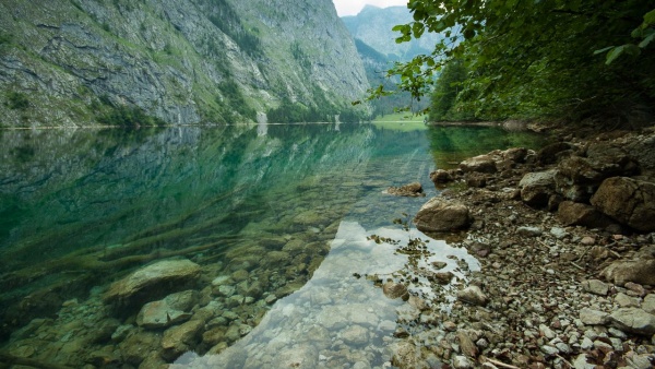 foto k příspěvku  od KFL