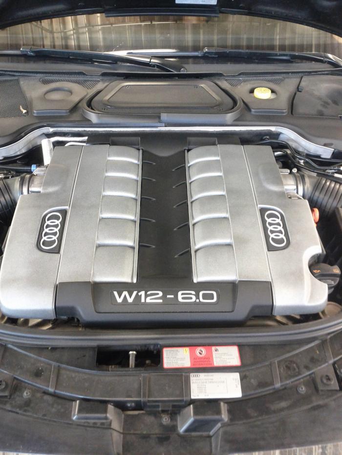 foto k příspěvku  od M.Á.R.A.