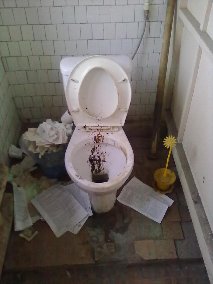 foto k příspěvku  od Zdeny60