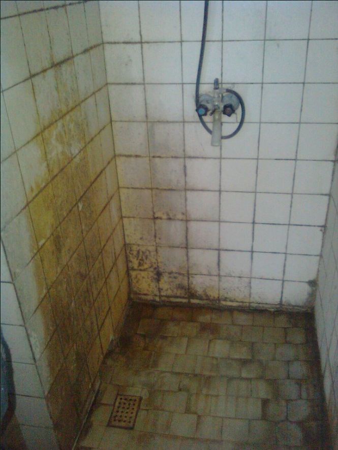 foto k příspěvku  od radaman