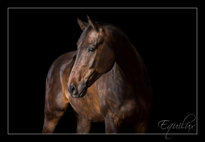 foto k příspěvku  od EFCA