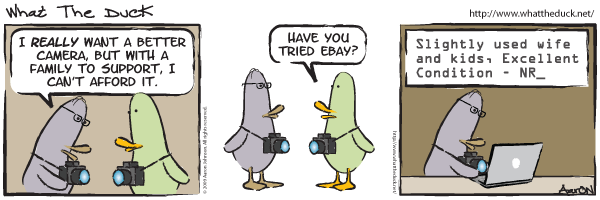 foto k příspěvku  od Kamil