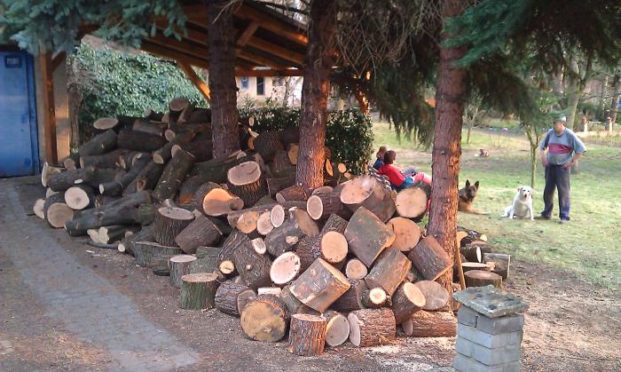 foto k příspěvku  od Soptík