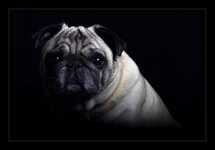 foto k příspěvku  od EFCA