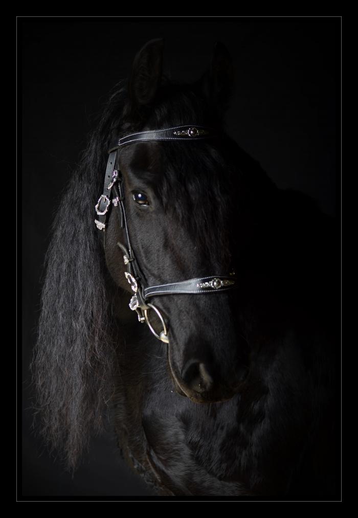 foto k příspěvku  od EFCA