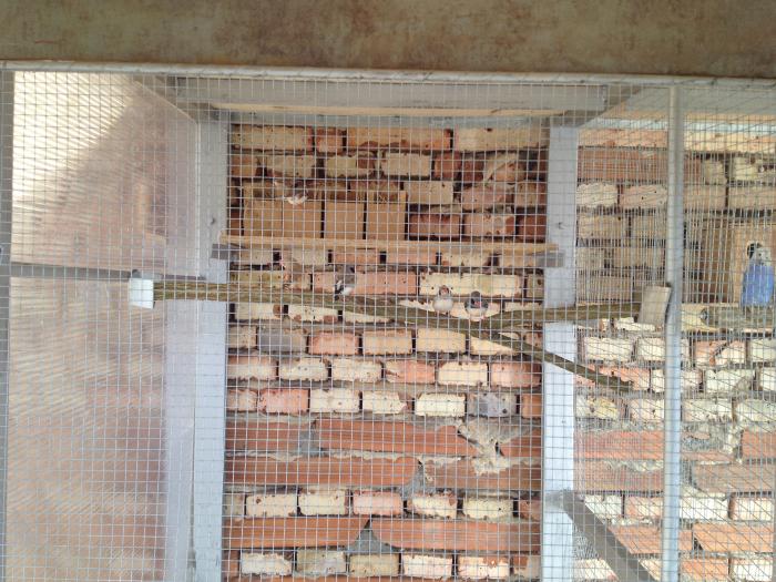 foto k příspěvku  od Milhauzz