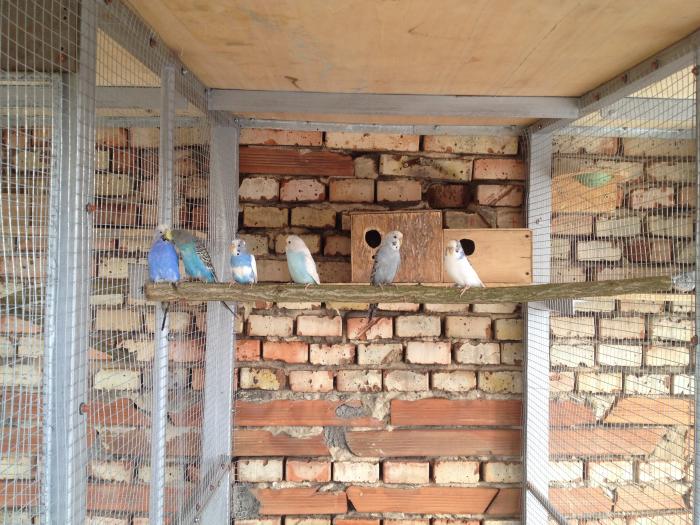 foto k příspěvku  od Milhauzz