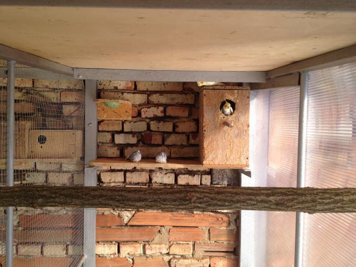 foto k příspěvku  od Milhauzz