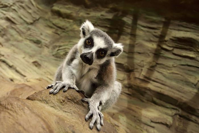 foto k příspěvku  od Mr.Scully