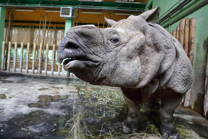 foto k příspěvku  od Mr.Scully