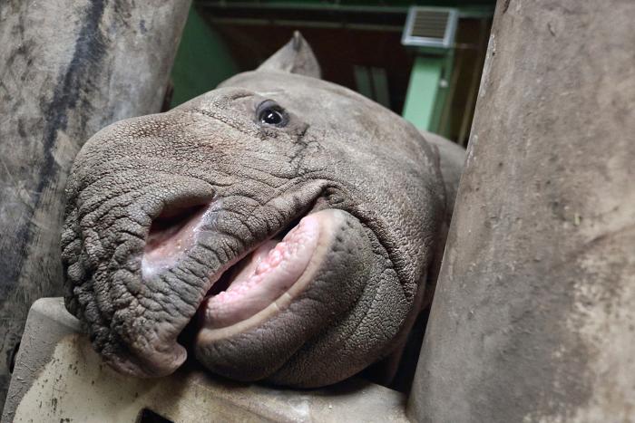 foto k příspěvku  od Mr.Scully