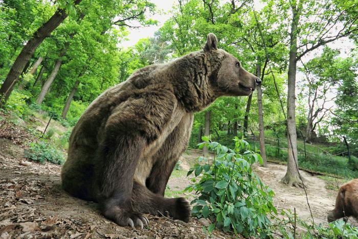 foto k příspěvku  od Mr.Scully