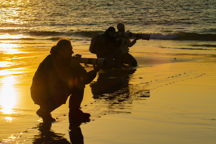 foto k příspěvku  od Crimson