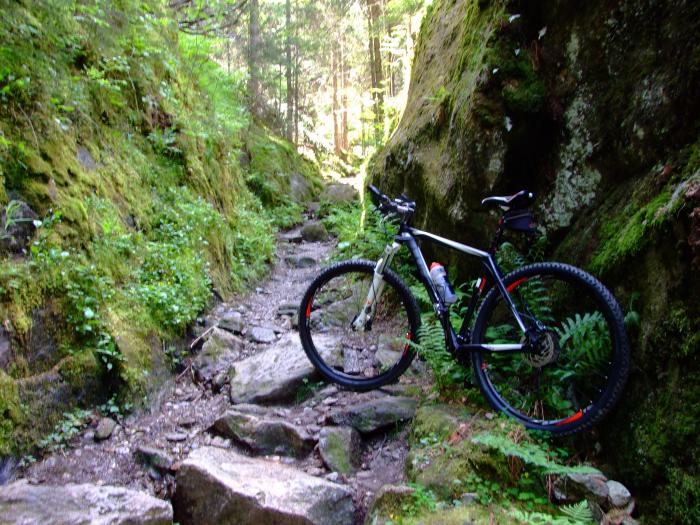 foto k příspěvku  od Petura