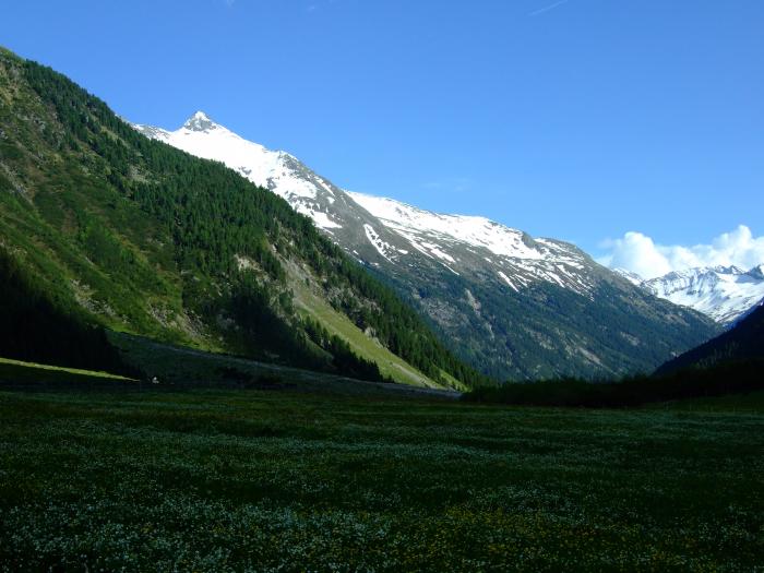 foto k příspěvku  od Petura