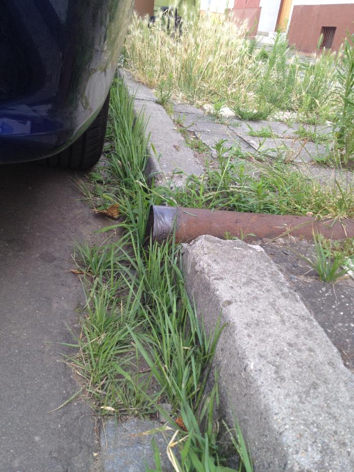 foto k příspěvku  od Milhauzz