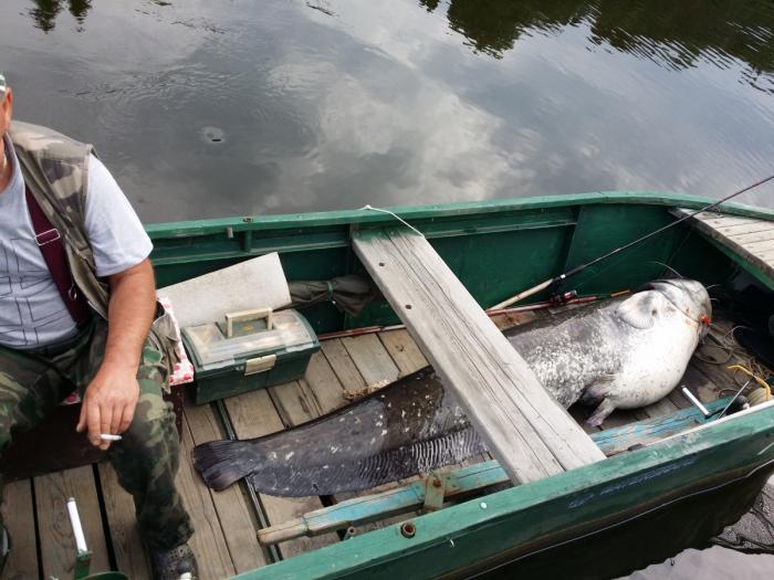 foto k příspěvku  od soray